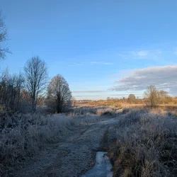 Фото с Котельская осень