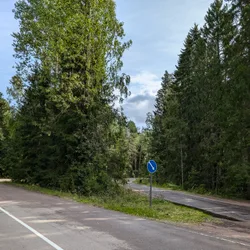 Фото с Киви Выбирает Блинчики