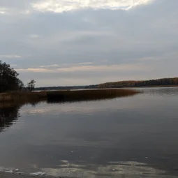 Фото с Прогулка около Виипури