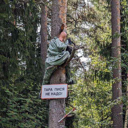 Фото с Выыыборги и то что северней