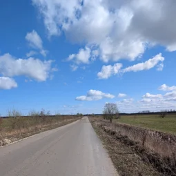 Фото с БК: Дорога в Саблино