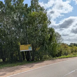 Фото с Киви Выбирает Блинчики