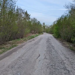 Фото с Волховский фронт
