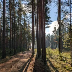 Фото с Фирма: Три Кирхи