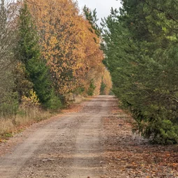 Фото с Прогулка около Виипури