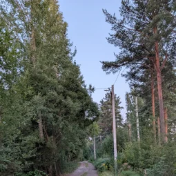 Фото с Вечер: из Зелёной Рощи