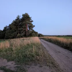 Фото с Вечер: Веревская Усадьба