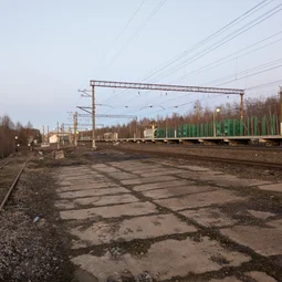 Фото с Пелла - Заневка