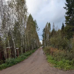 Фото с Осень на все 100