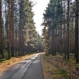 Фото с Чил.Осень.111