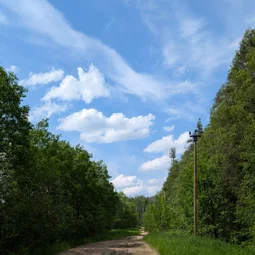Фото с Тёмная сторона Кальтино
