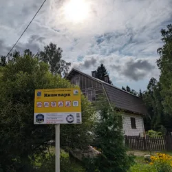 Фото с Киви Выбирает Блинчики