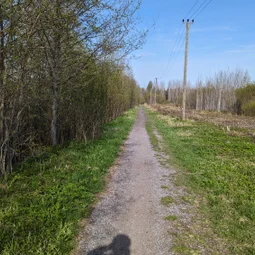 Фото с Волховский фронт