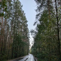 Фото с Осень на все 100