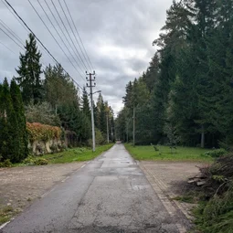 Фото с Осень на все 100