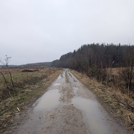 Фото с Ручеёк течёт в Саблино