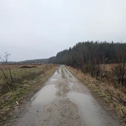 Фото с Ручеёк течёт в Саблино