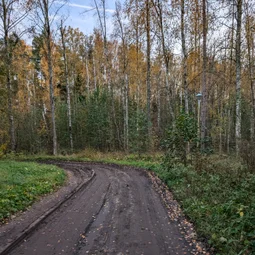 Фото с Чил.Осень.111