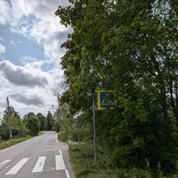Фото с Киви Выбирает Блинчики