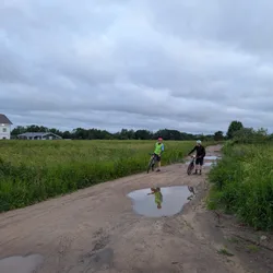 Фото с Вечер: Заросший университет
