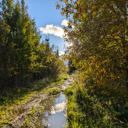 Фото с Осень на все 100