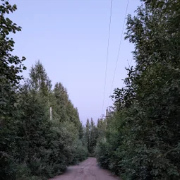 Фото с Вечер: из Зелёной Рощи