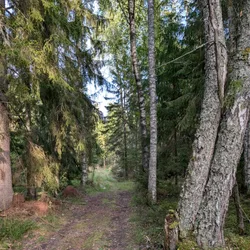 Фото с Киви Выбирает Блинчики
