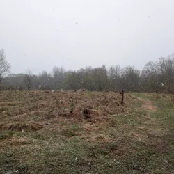 Фото с Ручеёк течёт в Саблино