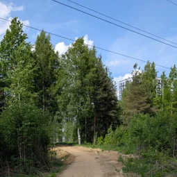 Фото с Тёмная сторона Кальтино