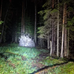 Фото с СРВ: Всеволод Бродский