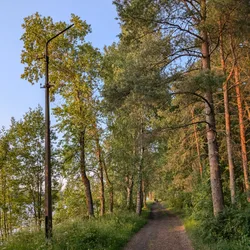 Фото с Фирма: Волховский фронт - ночь