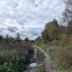 Фото с Осень на все 100