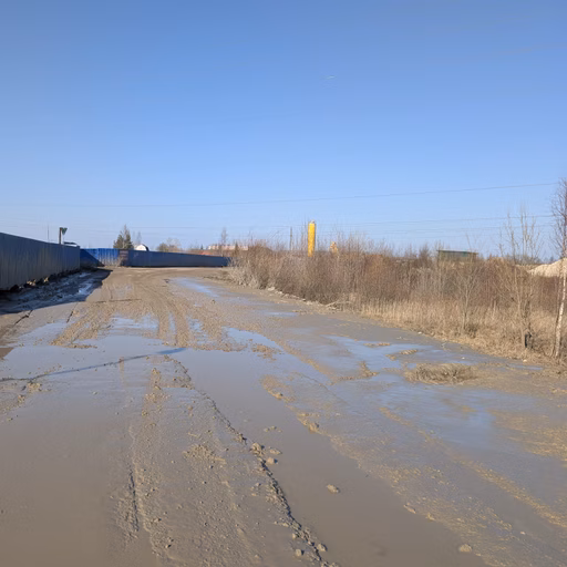 Фото с БК: Первый Весенний