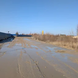 Фото с БК: Первый Весенний