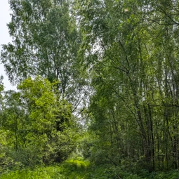 Фото с Тёмная сторона Кальтино