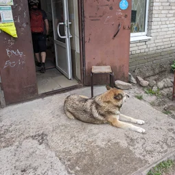 Фото с Выыыборги и то что северней