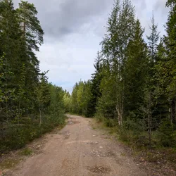 Фото с Киви Выбирает Блинчики