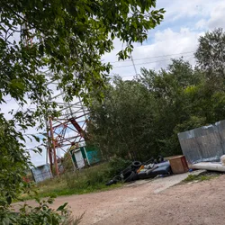 Фото с Киви Выбирает Блинчики