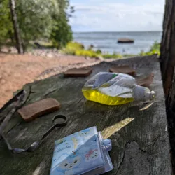 Фото с Киви Выбирает Блинчики