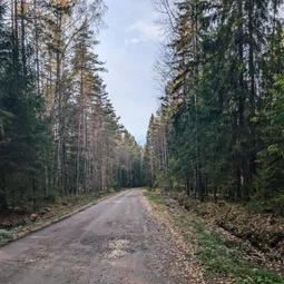 Фото с Чил.Осень.111