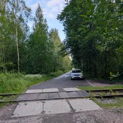 Фото с Вечер: Заросший университет