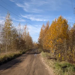 Фото с Чил.Осень.111