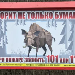Фото с БК: Finding Beauty