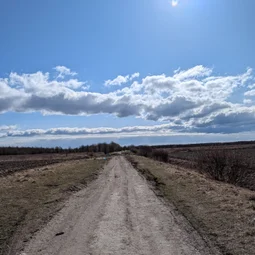 Фото с БК: Дорога в Саблино