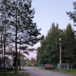 Фото с Вечер: из Зелёной Рощи