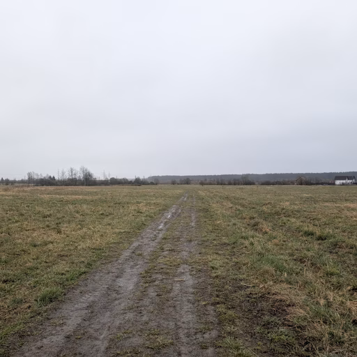 Фото с Ручеёк течёт в Саблино