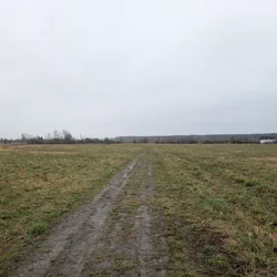 Фото с Ручеёк течёт в Саблино