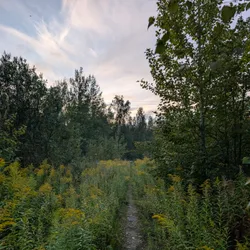 Фото с Вечер: Сливовые Горы