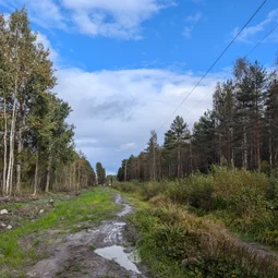 Фото с Осень на все 100