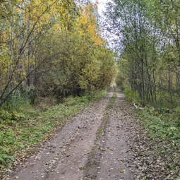 Фото с БК: Тёссанные приключения